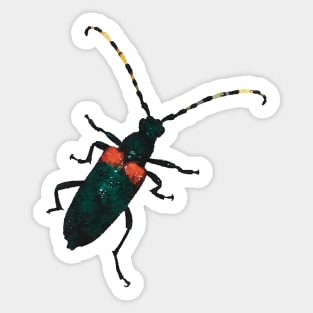 Red-Shouldered Pine Borer Beetle Sticker